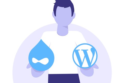 image blog teaser drupal vs wp