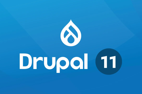 drupal-11