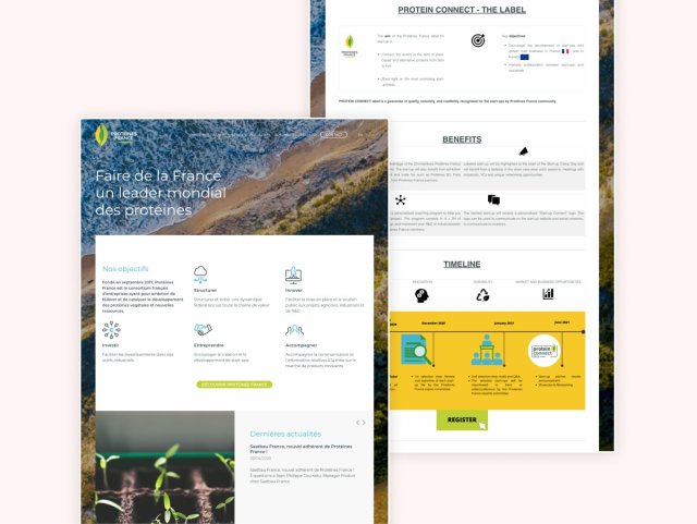 Mockup design du projet Protéines France