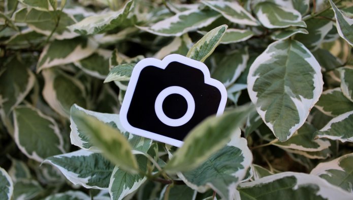 Photo d'une icône découpée dans du papier et placée dans un buisson