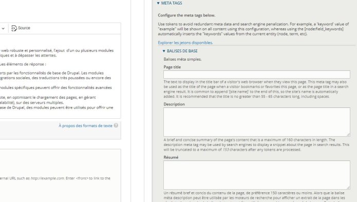 module-drupal-metatag