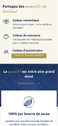 écran site mobile Léonidas 4