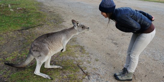laetitia-australie
