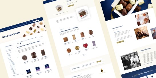 extrait page site web leonidas