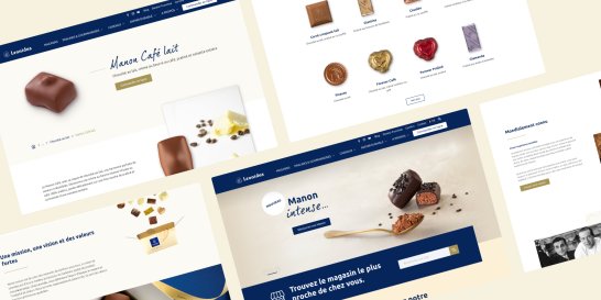 banner site web leonidas  