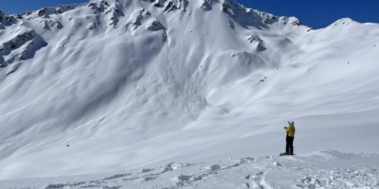 nico-ski