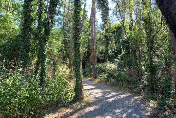 rayan-nature