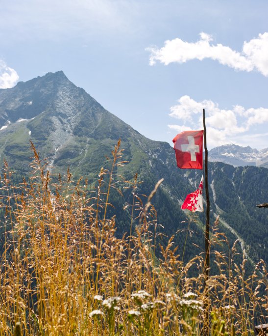 jonathan-suisse