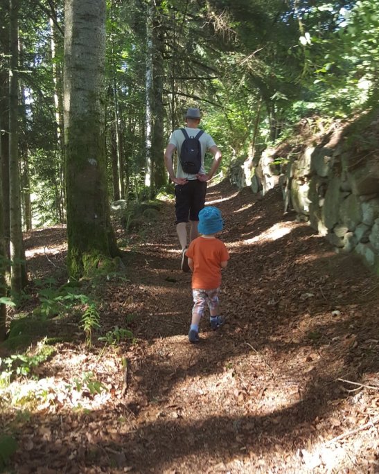 foret-benjamin