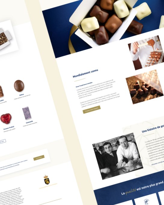mockup landing page leonidas 